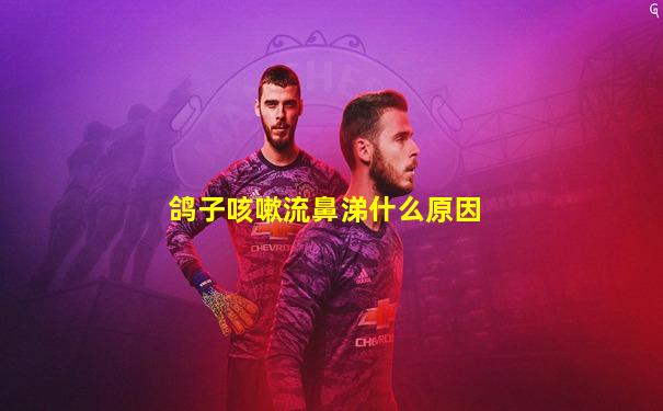鸽子咳嗽流鼻涕什么原因